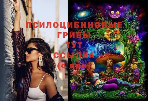 прущая мука Арсеньев
