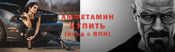 СК Ельня
