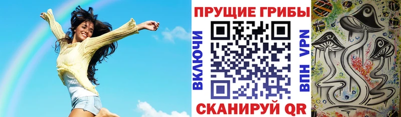 Галлюциногенные грибы MAGIC MUSHROOMS  купить наркотики сайты  Всеволожск 