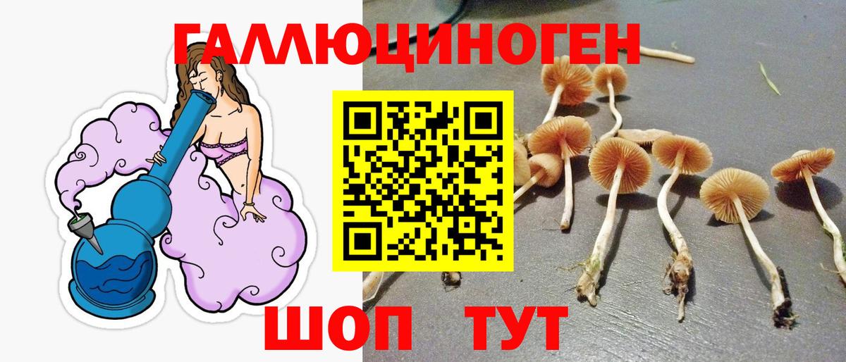 Псилоцибиновые грибы ЛСД Всеволожск