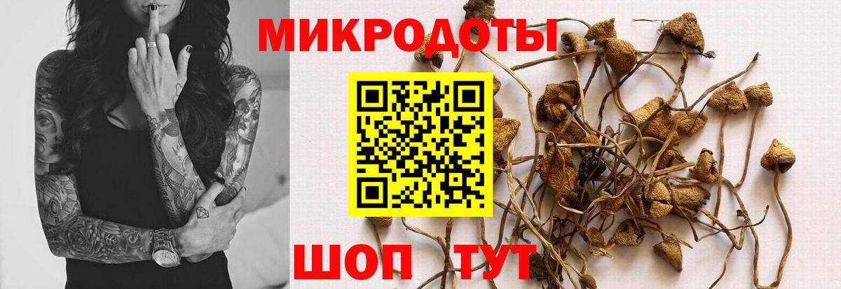 наркотики  Псилоцибиновые грибы MAGIC MUSHROOMS  Всеволожск  Вход с VPN  Псилоцибиновые грибы мухоморы 